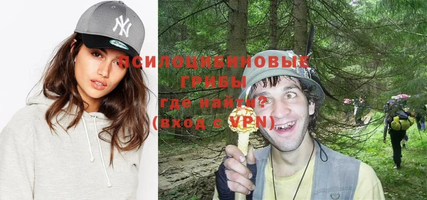 стафф Сосновый Бор