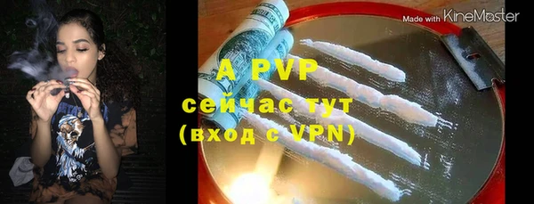 амф Алексин