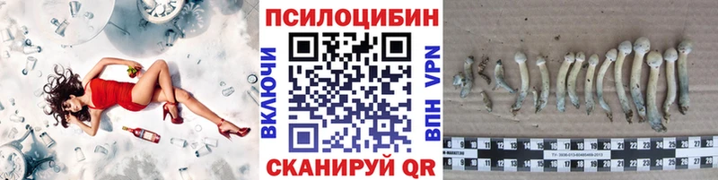 Галлюциногенные грибы Cubensis  darknet Telegram  Большой Камень 