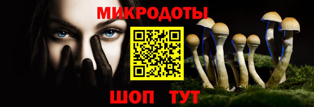 Псилоцибиновые грибы Psilocybe  Вход с VPN  Большой Камень 